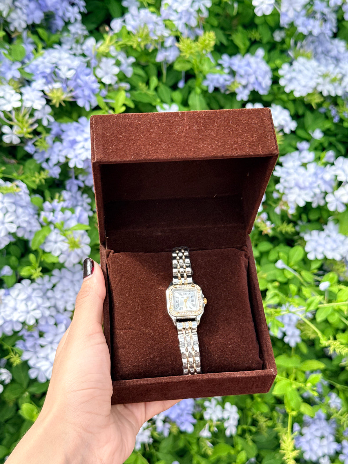 Montre Cartier Raffinée + Coffret CADEAU🎀 + Packaging Offert 🎁
